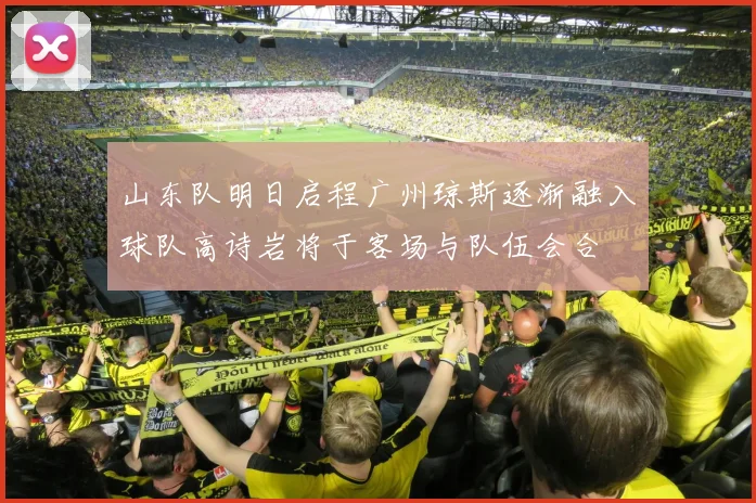 山东队明日启程广州琼斯逐渐融入球队高诗岩将于客场与队伍会合